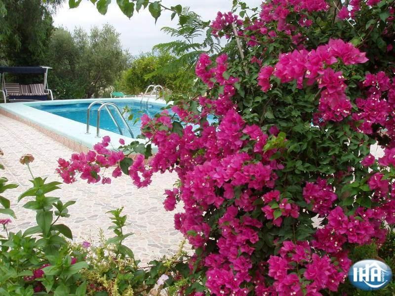 Fenazar Casa Rural Mi Campo المظهر الخارجي الصورة