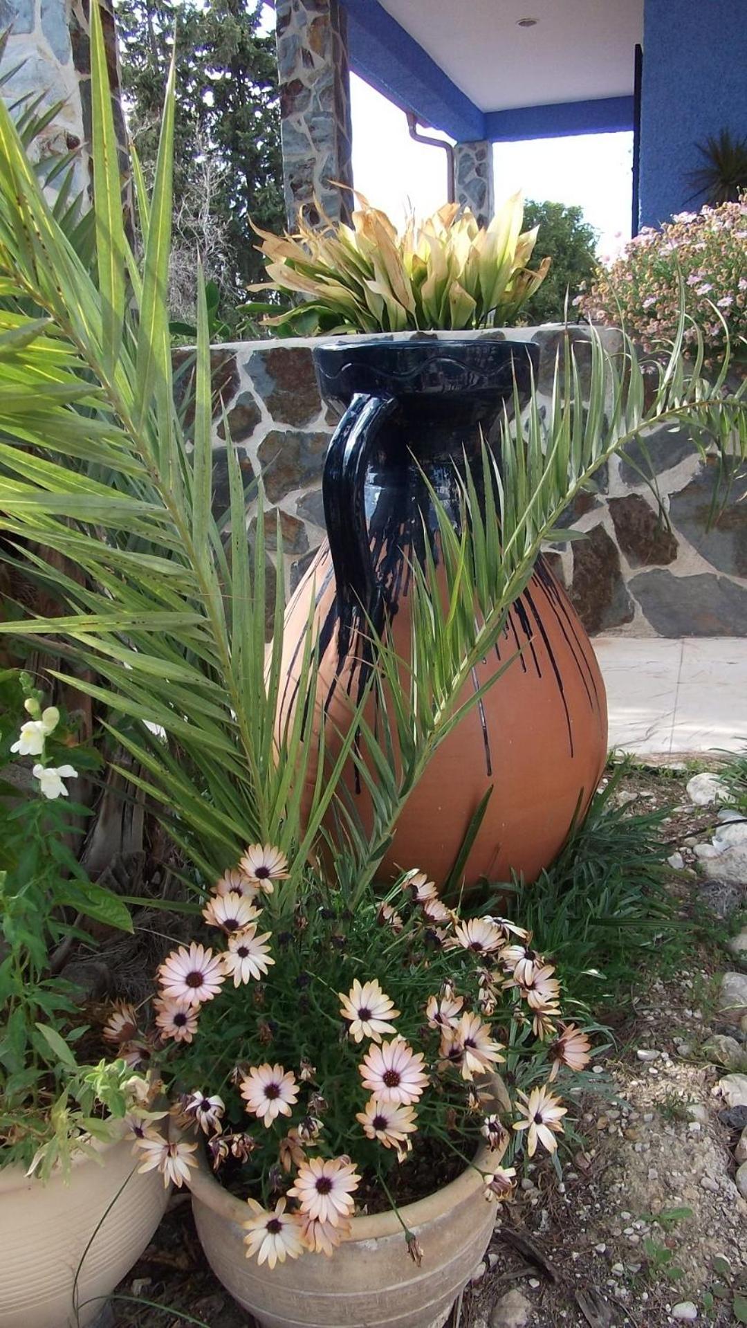 Fenazar Casa Rural Mi Campo المظهر الخارجي الصورة