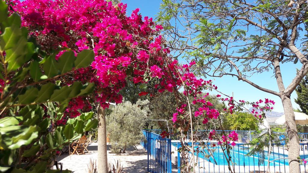 Fenazar Casa Rural Mi Campo المظهر الخارجي الصورة